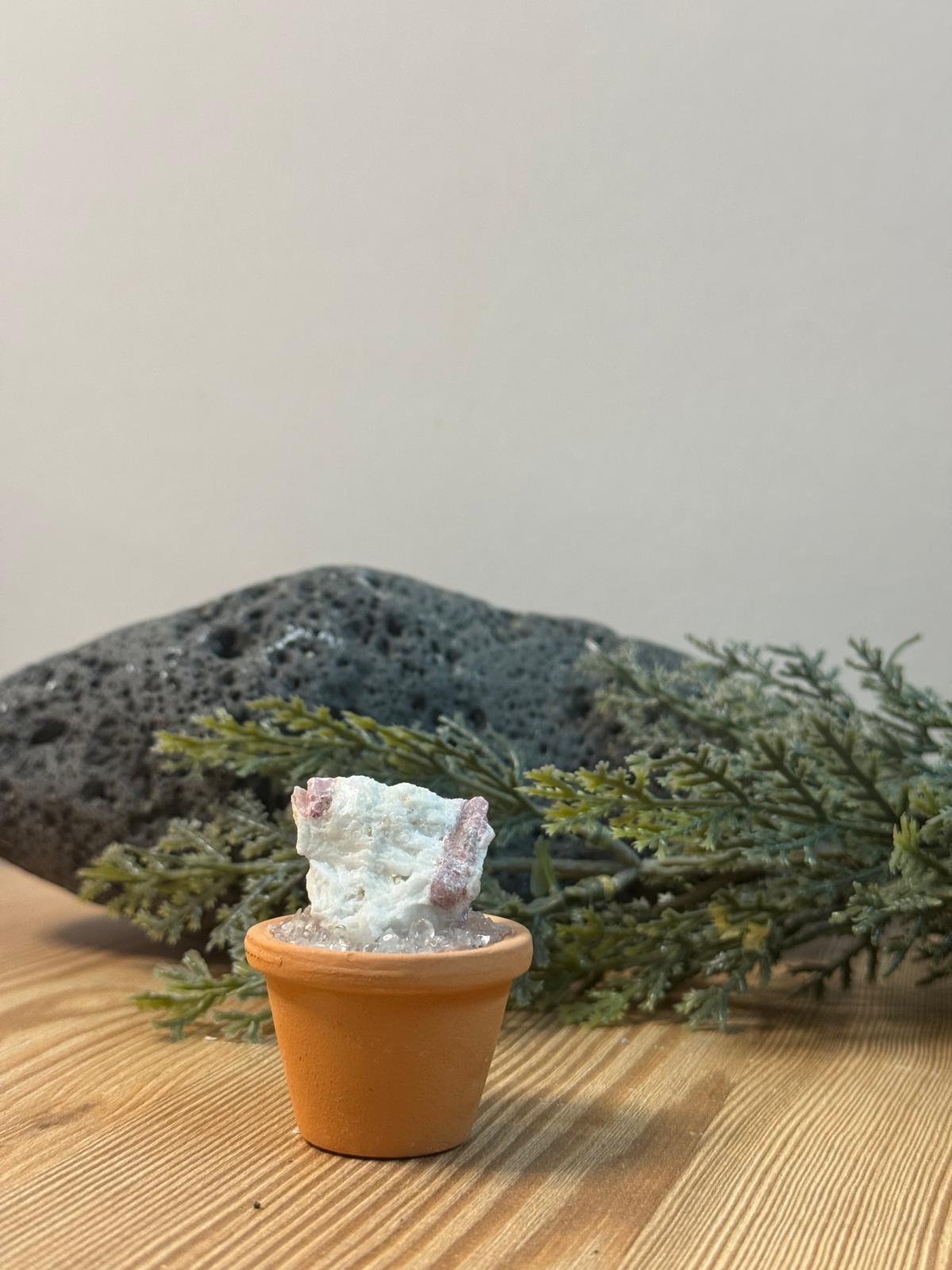 Maceta Turmalina sandía