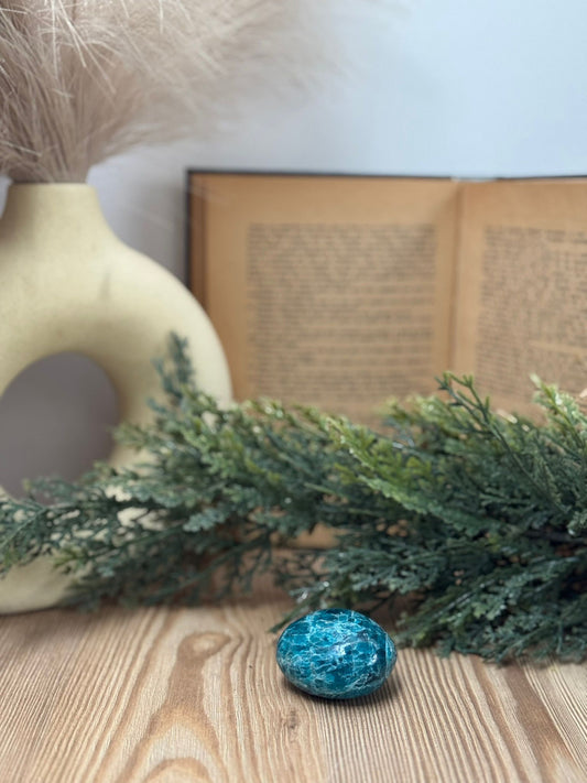 Apatito calidad extra rodado Maxi