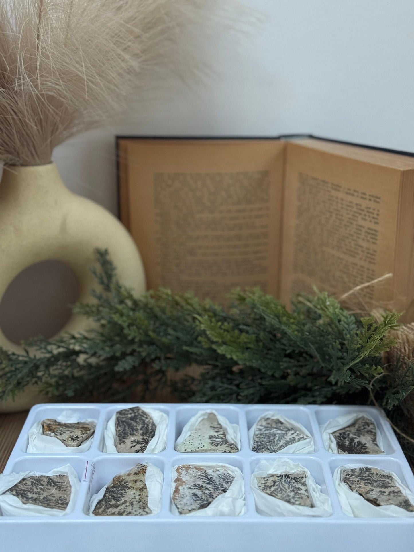 Mineral Pirolusita Dendrítica