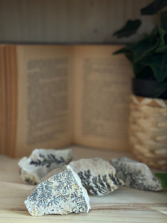 Pirolusita Dendrítica