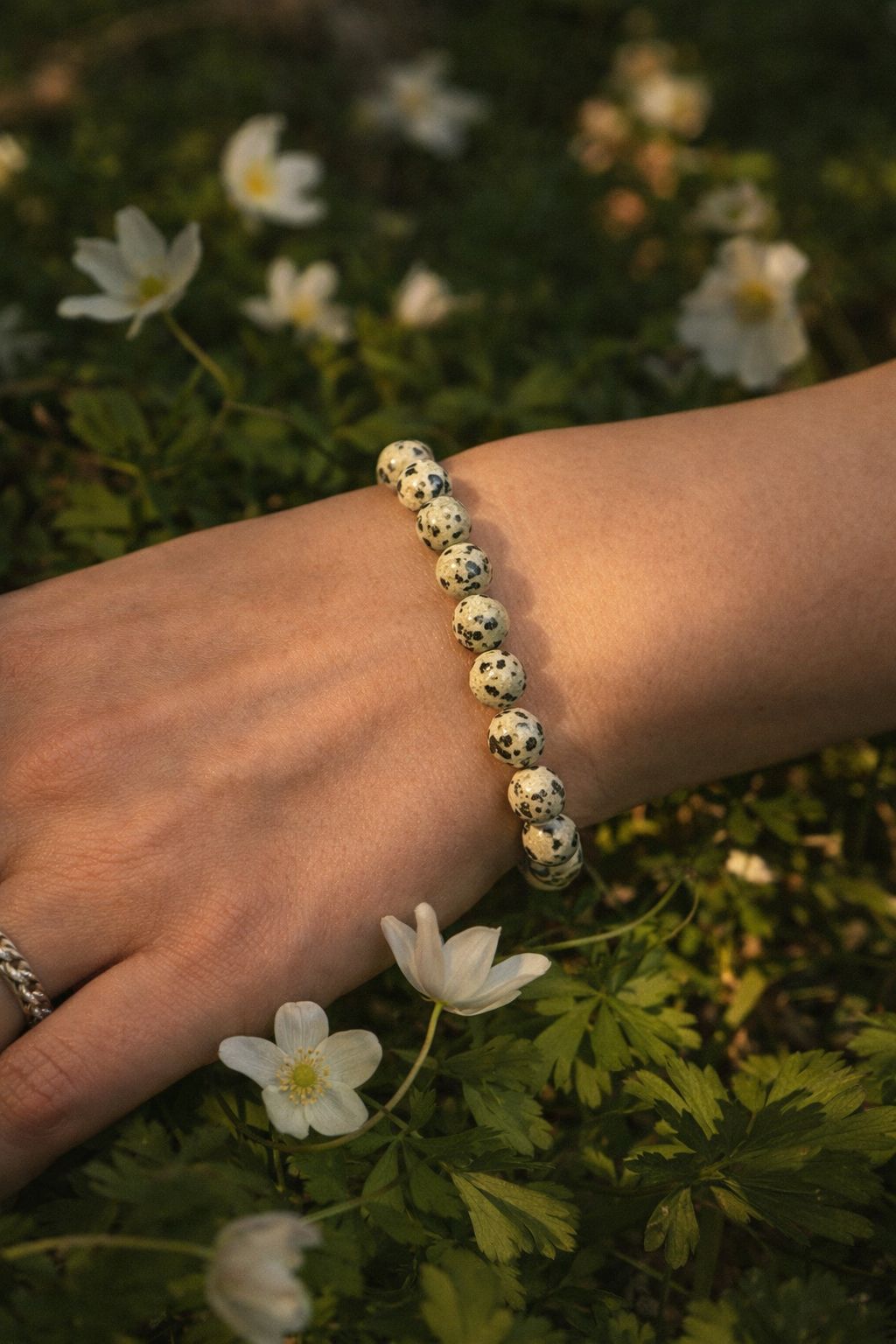 Pulsera Jaspe Dálmata – Protección y Equilibrio