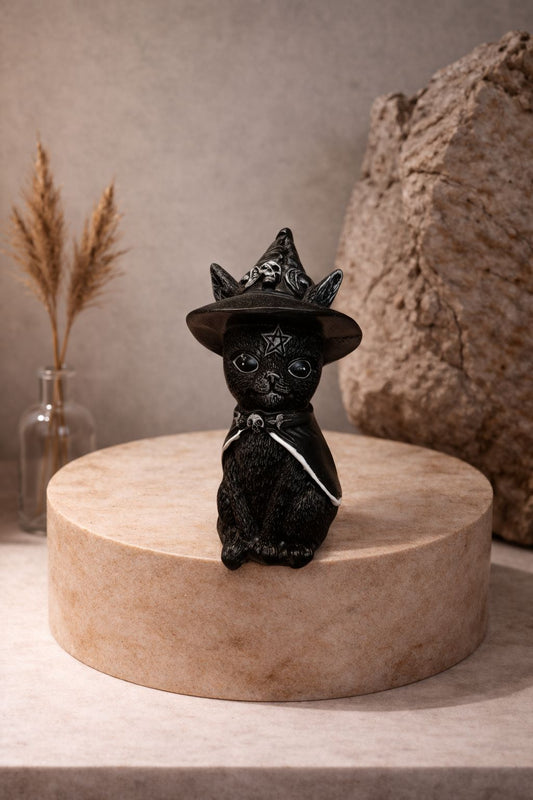 Gato negro brujo