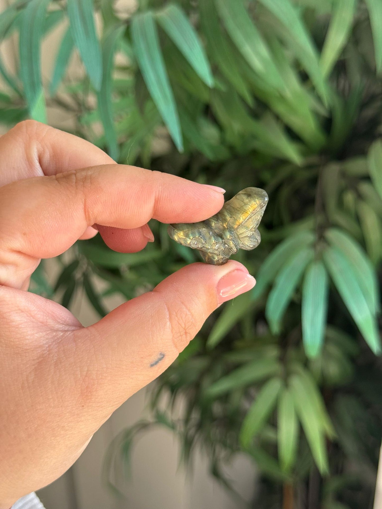 Mariposa de labradorita