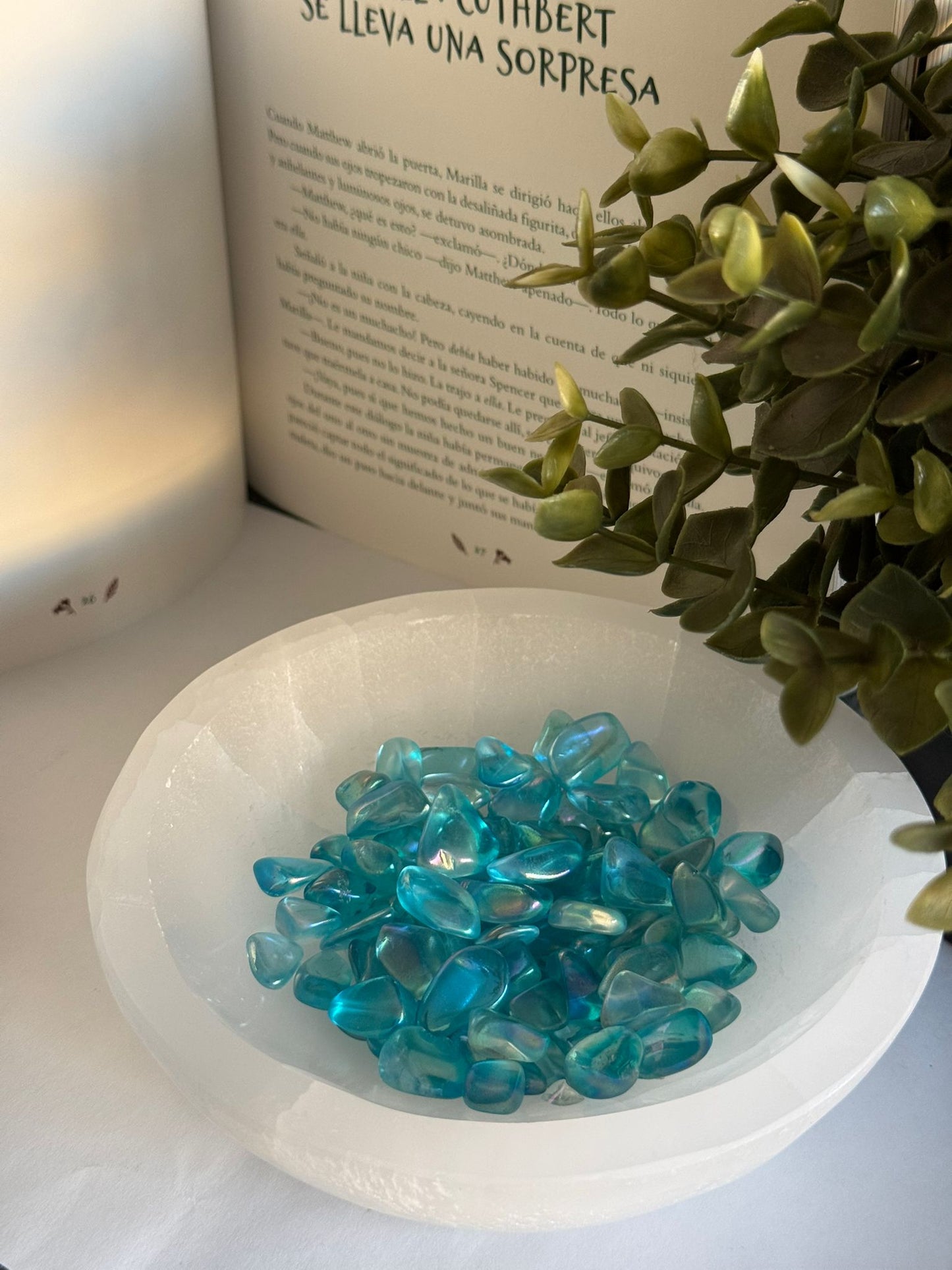 Rodado de Aqua aura mini.