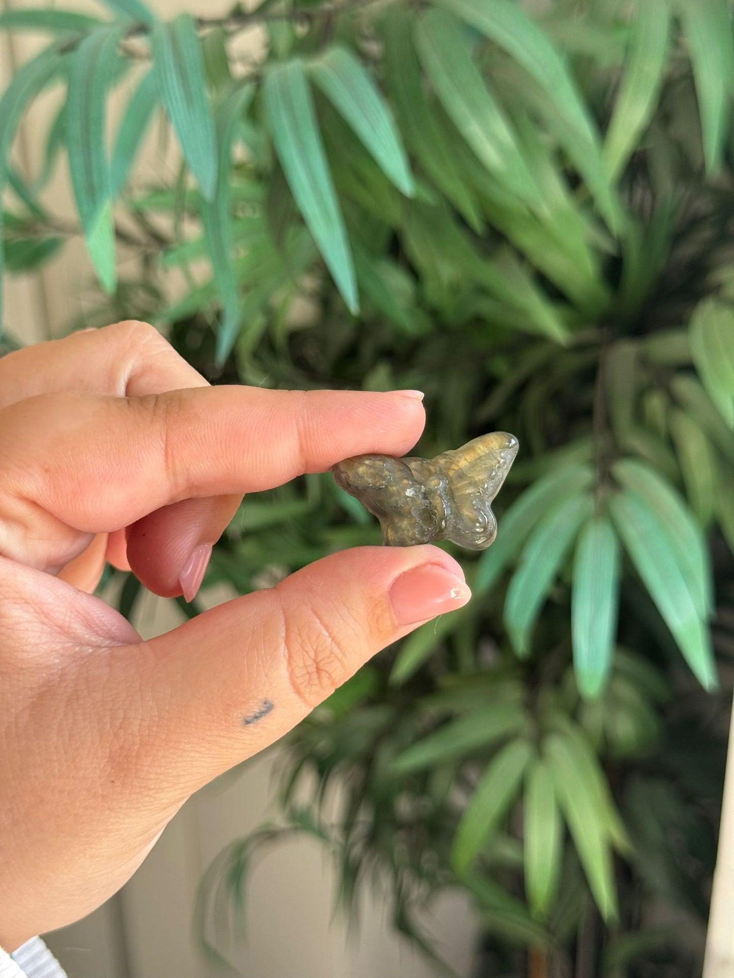 Mariposa de labradorita