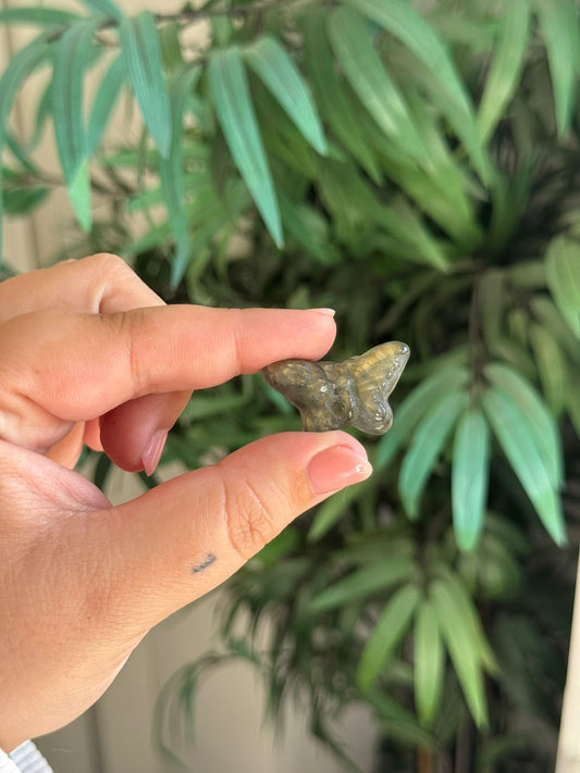 Mariposa de labradorita