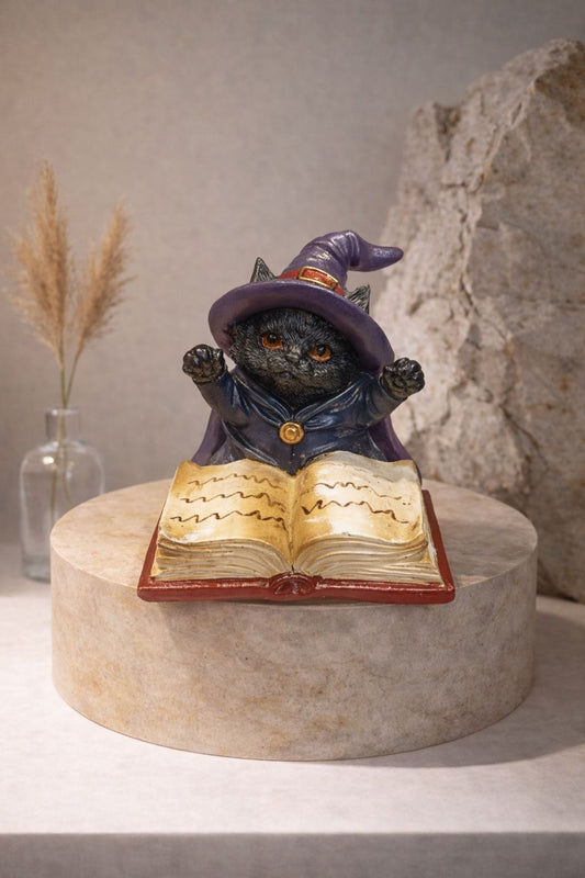 Gato Estudiante Morado.